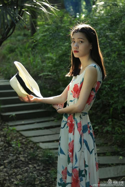 p站probrun软件安装步骤示意图